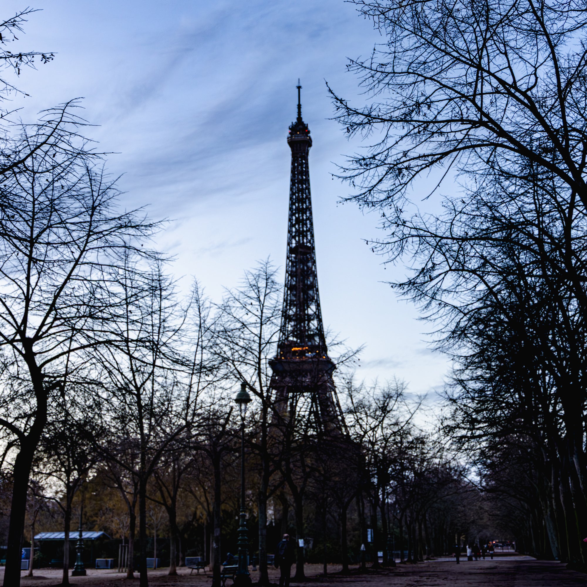 Eiffel Tower silhouette against a blue sky with leafless trees lining the path.