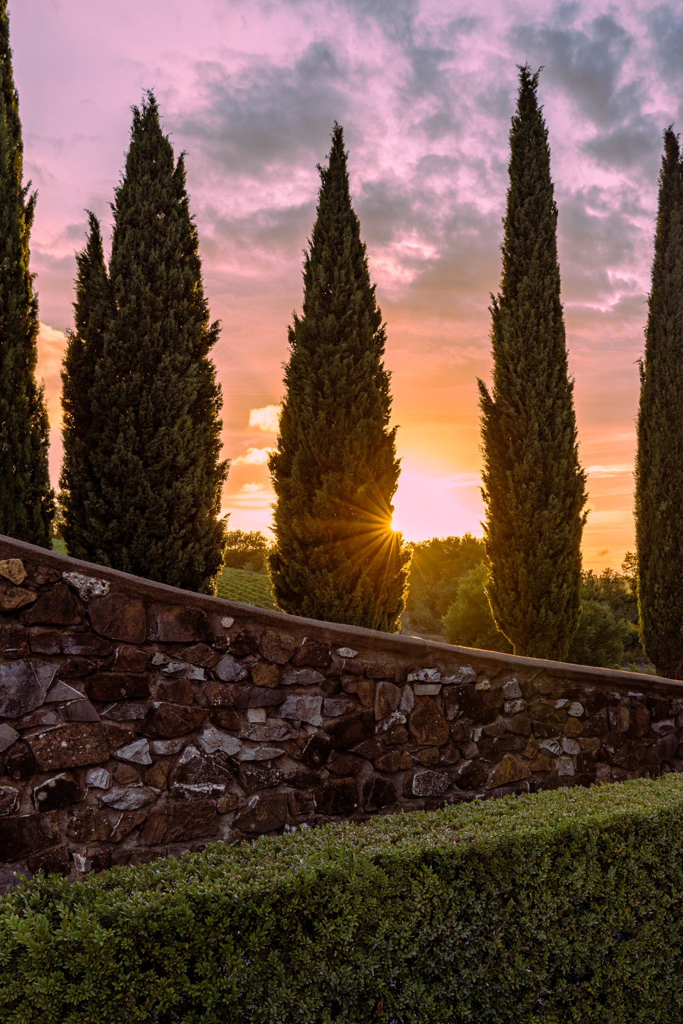Tuscany II