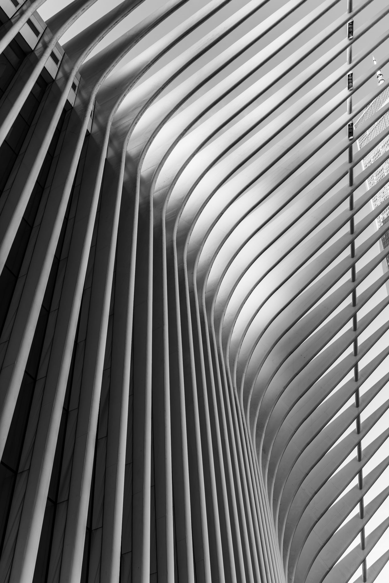 Lower Manhattan Architecture