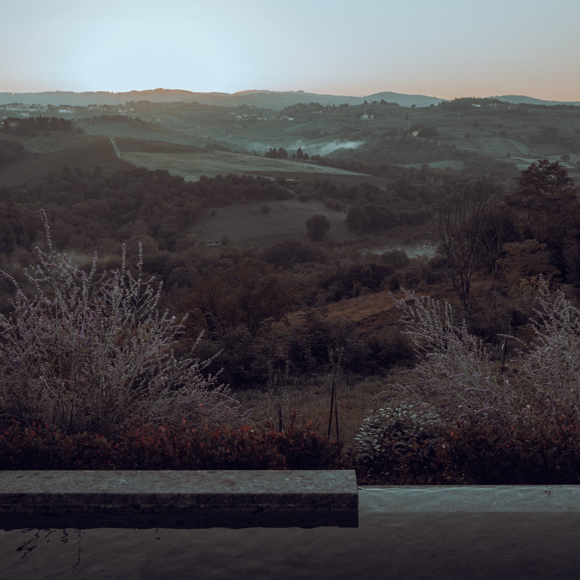 Hilly landscape with fog in the rolling hills, looking over an infinity pool
