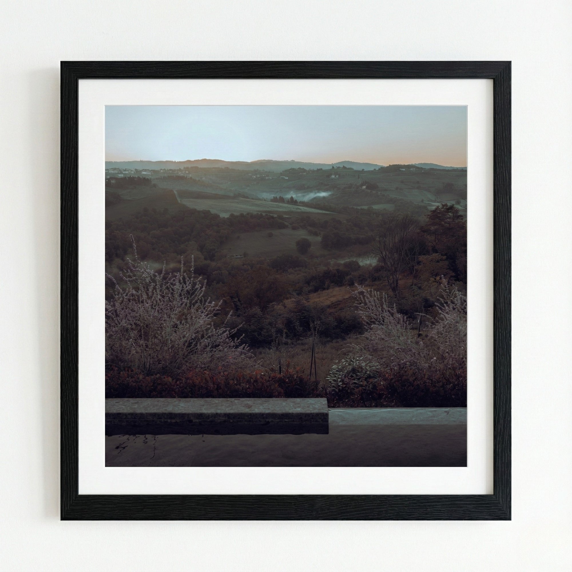 Framed landscape print of a valley with trees and mountains on a white wall.