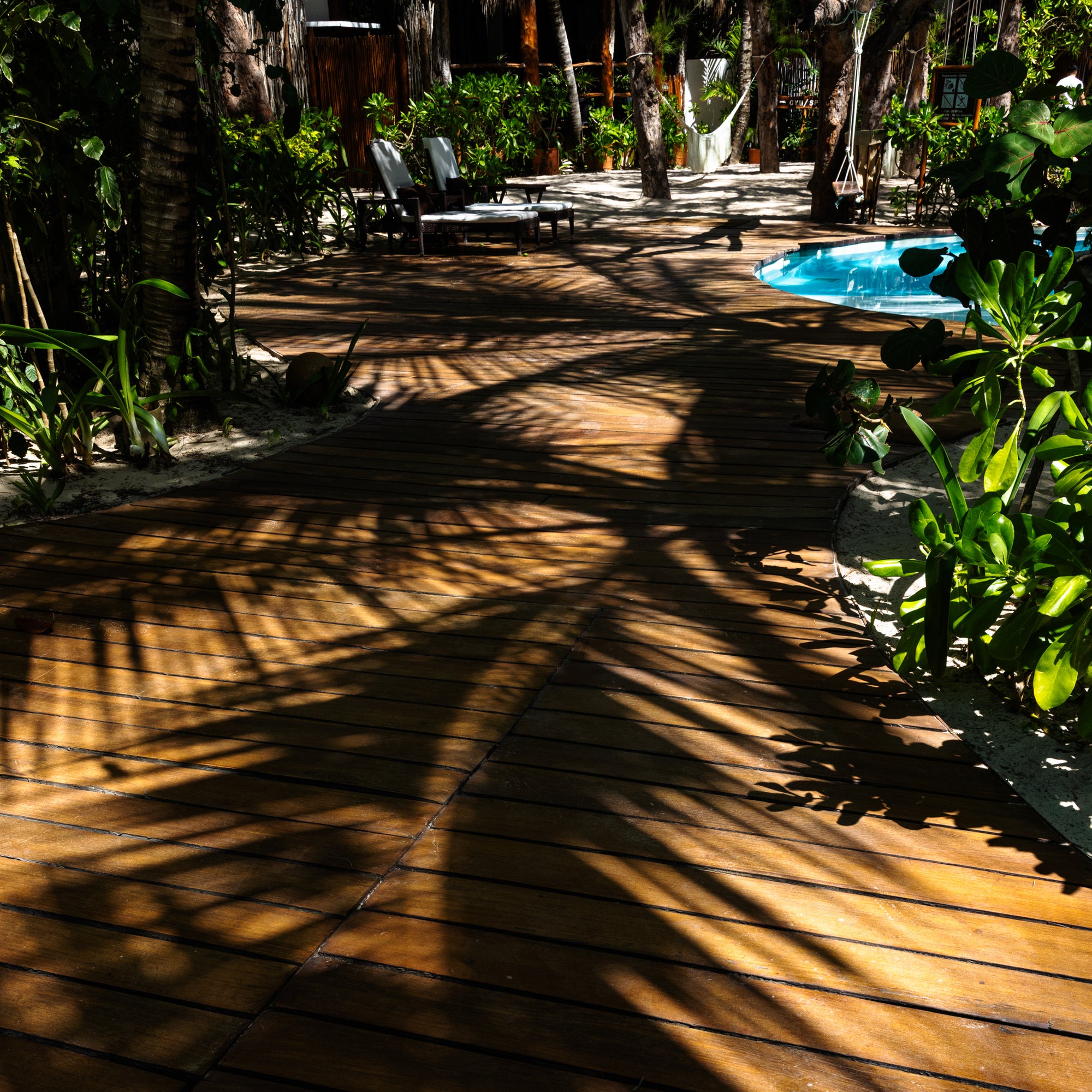 Palm Tree Reflection Tulum